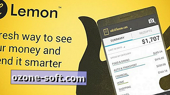 Jak sledovat příjmy na Androidu s Lemon