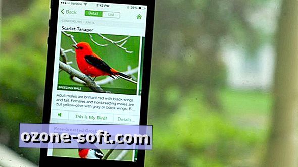 Identificer den fugl med Merlin Bird ID app