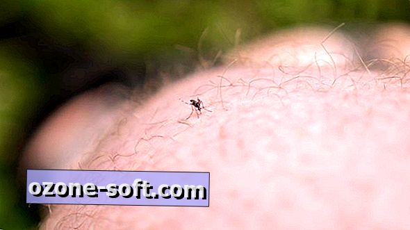 9 biện pháp khắc phục tại nhà cho muỗi đốt ngứa